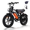 AVDLEU Vélo Électrique Tout Terrain - Roues 20"*4 - 250W - Batterie 48V 15.6Ah - Autonomie 60-120km (Mode ASSIST)