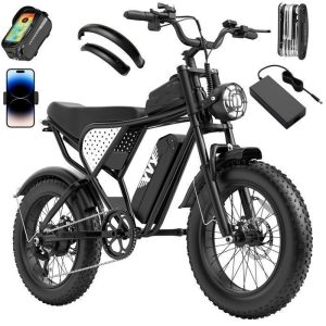 Vélo Électrique-20"*4.0 pneus tout terrain-Moteur 1000W-Batterie Amovible 48V/15.6Ah-Autonomie 50-60km-Shimano 7 vitesses-Noir
